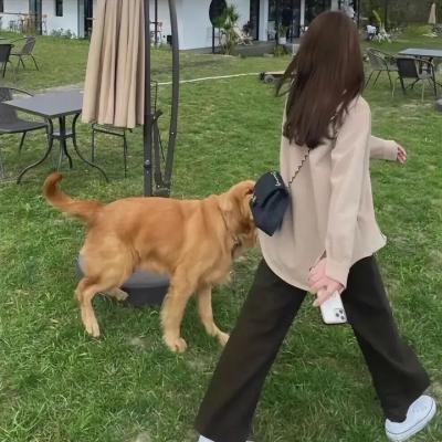 威尼斯王子
